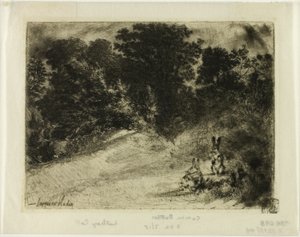 alt tarak by Francis Seymour Haden