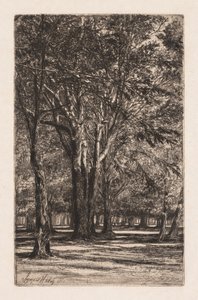 Kensington Bahçeleri, No. 2 (Büyük Plaka) by Francis Seymour Haden