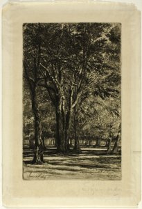 Kensington Bahçeleri, No. II (büyük tabak) by Francis Seymour Haden