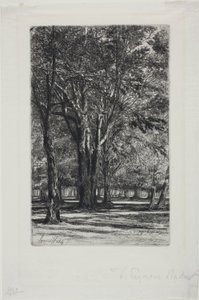Kensington Bahçeleri, No. II (büyük tabak) by Francis Seymour Haden