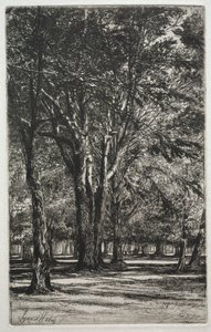 Kensington Bahçeleri Büyük Plaka, 1860. by Francis Seymour Haden