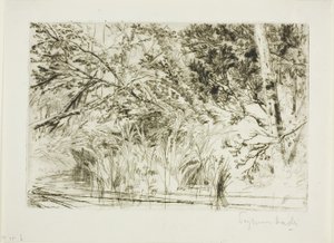 Derenin Ağzı, No. II by Francis Seymour Haden