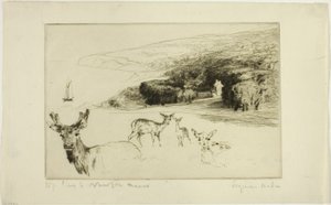 Newton Malikanesi by Francis Seymour Haden