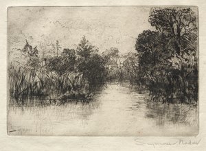 Shere Mill Göleti (Küçük Bir Çalışma) by Francis Seymour Haden