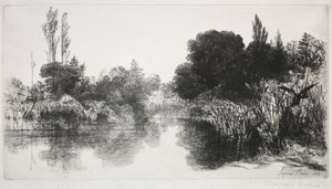 Shere Mill Göleti, No. 11 (Büyük Plaka) by Francis Seymour Haden