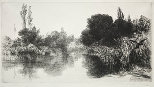 Shere Mill Pond, No. 11 The Large Plate, 1860 ve sonrası. by Francis Seymour Haden