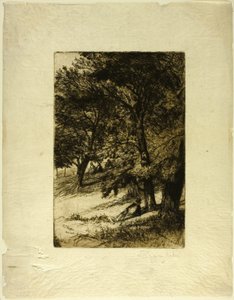 Kozanın altında... by Francis Seymour Haden