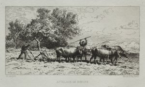 Öküz Takımı by Francis Seymour Haden