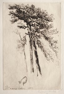 En Son Ağaç by Francis Seymour Haden