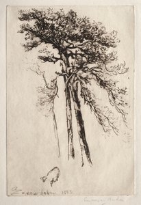 Son Ağaç, 1882. by Francis Seymour Haden
