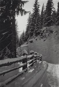 Alpler: Kış Sabahı, St Anton yakınında (s/b fotoğraf)
