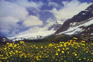 Simplon Geçidi