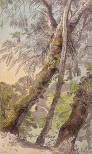 Su Sarkan Ağaçlar by Francis Towne