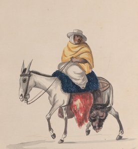 Peru kostümünü tasvir eden bir grup çizimden eşeğe binen bir kasap, yaklaşık. 1848.