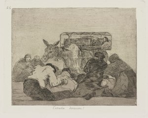 Garip bağlılık! (Garip Adanmışlık!), pl. Savaşın Felaketleri dizisinden 66 by Francisco de Goya