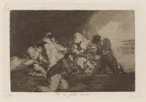 Bakamazsın (Bir Can by Francisco de Goya