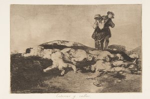The Disasters of War