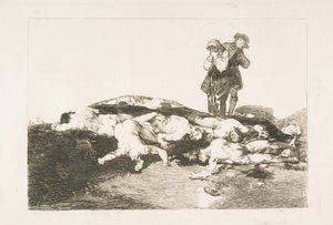 The Disasters of War Los Desastres de la Guerra