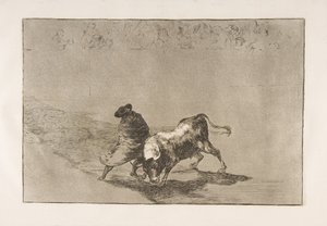 Tauromaquia