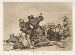 Los Desastres de la Guerra 