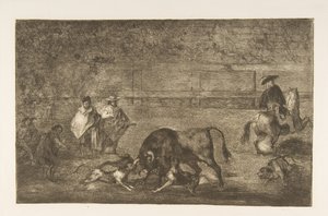 Plaka C: Köpekler boğanın üzerine saldı., ca. 1816. by Francisco de Goya
