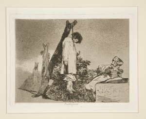 Hiçbiri ([Bu Durumda] ​​Değil), pl. 36 Savaşın Felaketleri