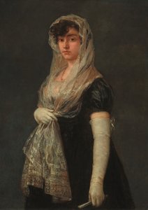 Mantilla ve Basquina Giyen Genç Bayan, c. 18001805. by Francisco de Goya