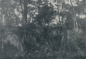 Hint Kulübeleri, 1895