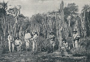 Alanlar, 1895