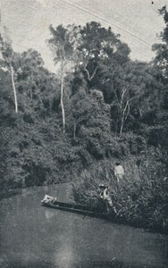 S. Anastacio Nehri, 1895