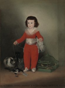 Don Manuel Osorio Manrique de Zuniga (1784-92) by Francisco de Goya
