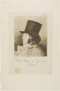 Francisco de Goya y Lucientes, Ressam, Los Caprichos