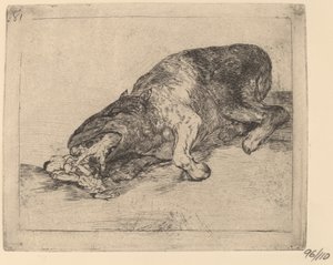 Azılı canavar! (Acı Canavar!) by Francisco de Goya