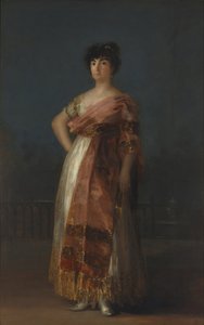 zorba by Francisco de Goya