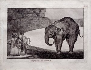 hayvan çılgınlığı by Francisco de Goya