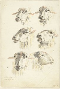 Altı koyun başlı çalışma sayfası by Franciscus Andreas Milatz (attributed to)