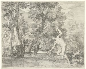 Nergis by Franciscus de Neve