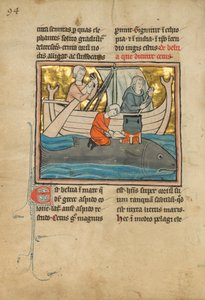 Balinanın Sırtındaki Balıkçı, 1277 veya sonrası