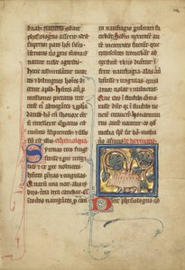 Bir bestiary
