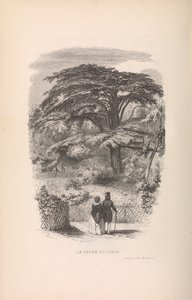 Botanik Bahçesi, Memelilerin Tanımları ve Davranışları, 1842.