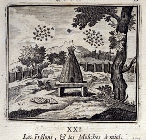 Hornetler ve bal sinekleri. Jean de La Fontaine