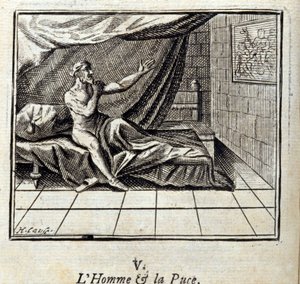 Adam ve Pire, Jean de La Fontaine