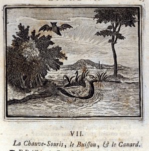 Yarasa, Çalı ve Ördek. Jean de La Fontaine'in (1621-95) Masalları. François Chauveau'nun çizimi (1613-1676). 1728 baskısı. by Francois Chauveau