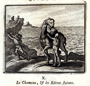 Deve ve Yüzen Çubuklar. Jean de La Fontaine