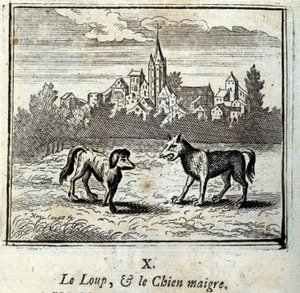 Kurt ve Yalın Köpek. Jean de La Fontaine