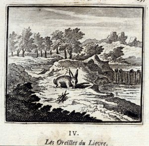 Lievre kulaklar. Jean de La Fontaine