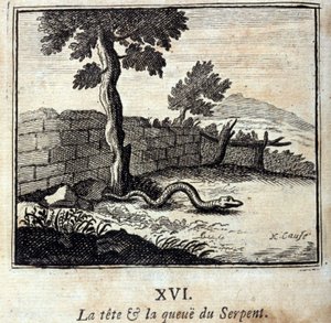Yılanın başı ve kuyruğu. Jean de La Fontaine