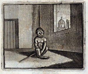 Maymun. Jean de La Fontaine