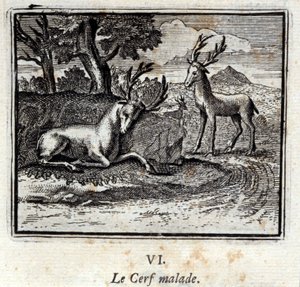 Tilki, Kurt ve At. Jean de La Fontaine