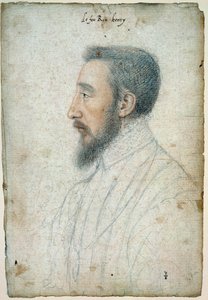 Fransa Kralı II. Henry